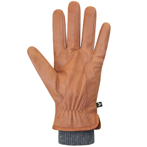 Auclair Men's Aiden Winter Gloves