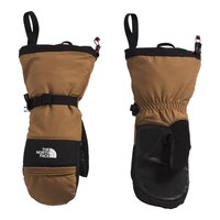 The North Face Men's Montana Ski Mitts Composite_or_Mixed