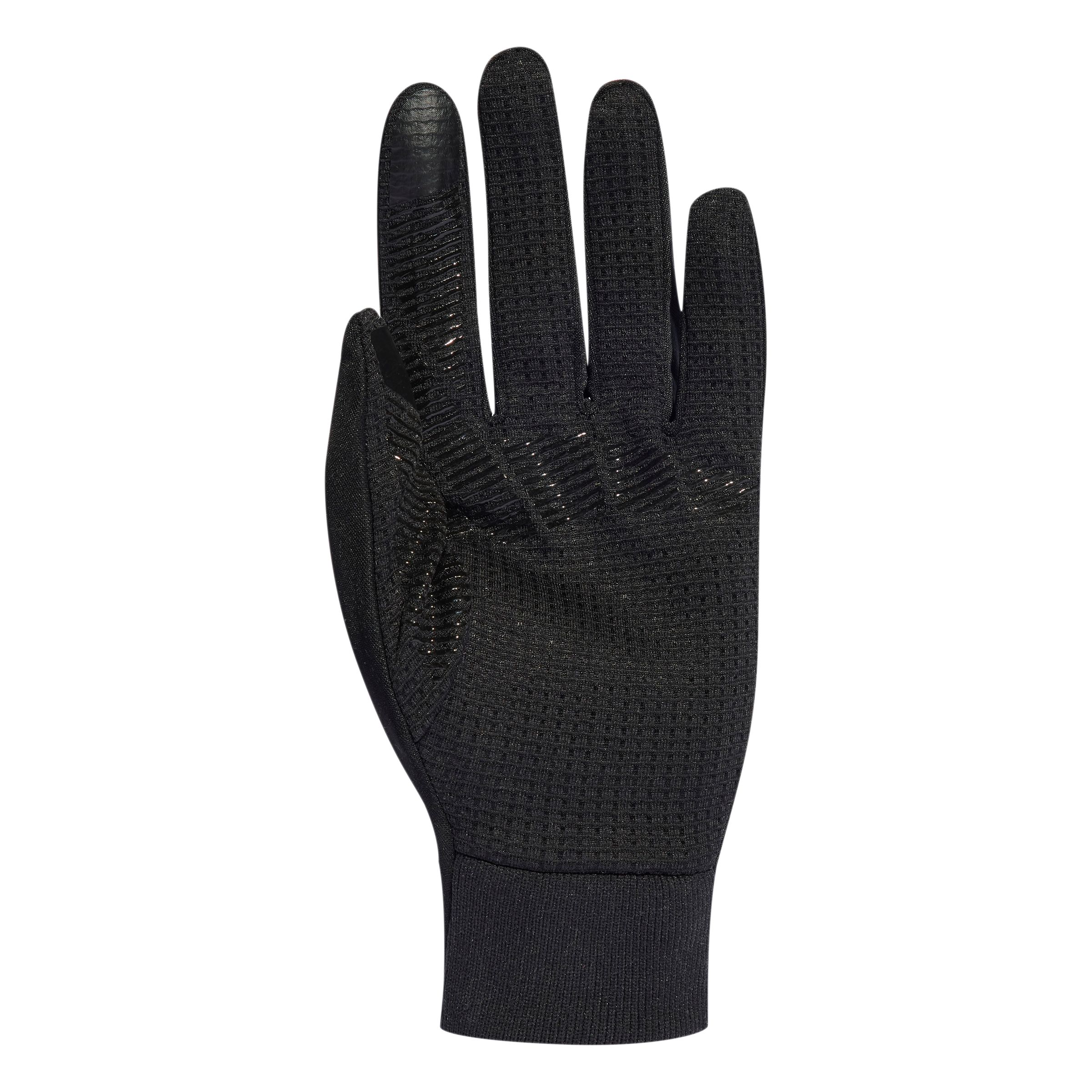 adidas Men's Terrex Gore-Tex Winter Gloves