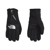 The North Face Men's Denali Etip™ Winter Gloves Composite_or_Mixed