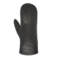 Auclair Women's EVA 2 Winter Mitts Back_Flat