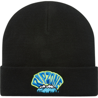 Ripzone Boys Miles 3.0 Cuffed Toque Front_Flat