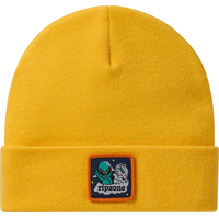 Ripzone Boys' Miles Cuffed Toque