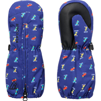 Ripzone Toddler Outlook Insulated Mitts Composite_or_Mixed