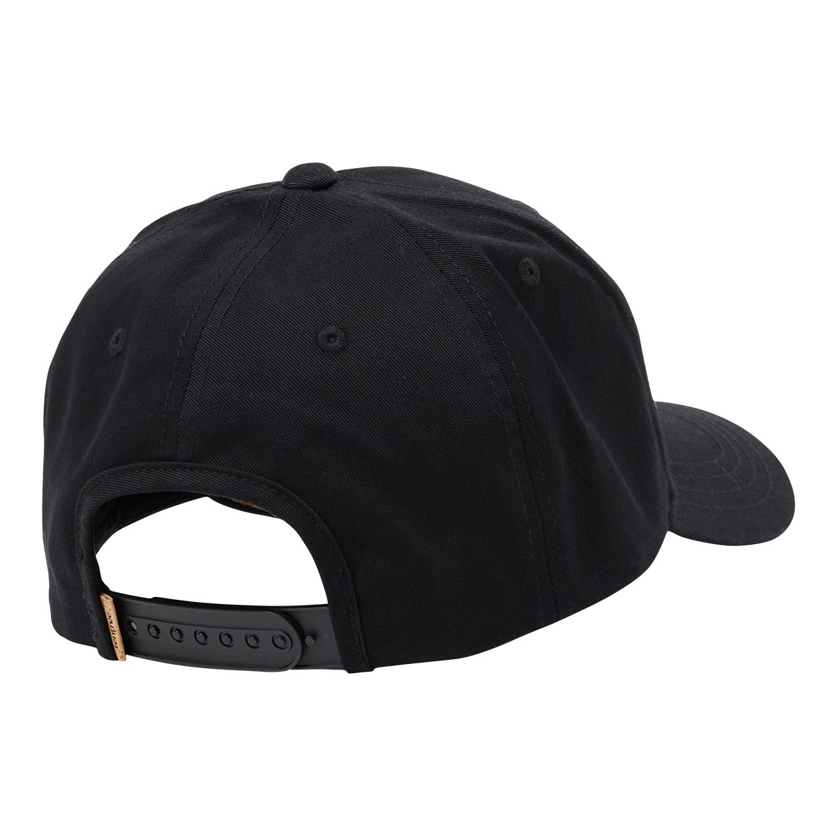 Tentree Altitude Cork Brim Snapback Hat