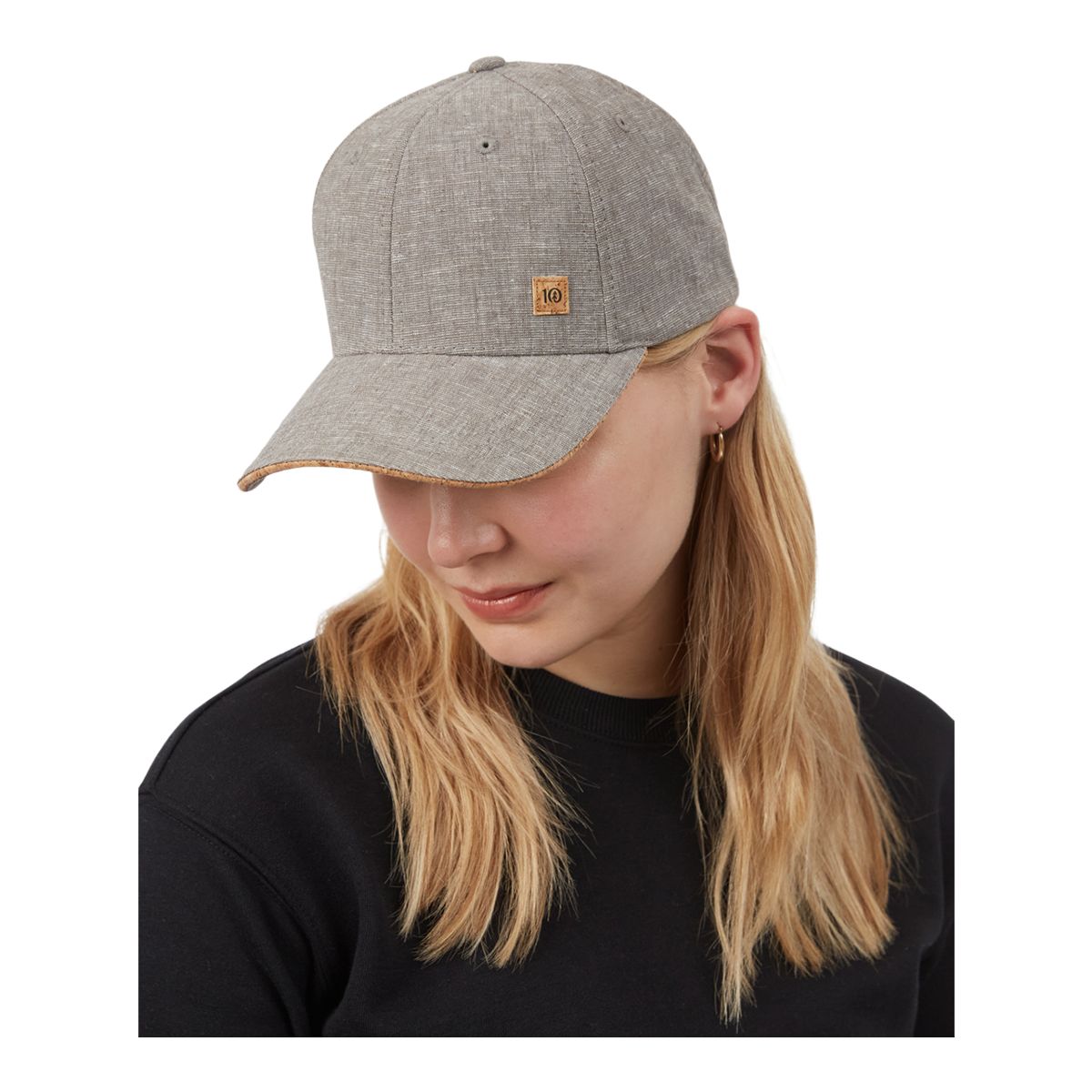 Image of Tentree Hemp Elevation Snapback Hat