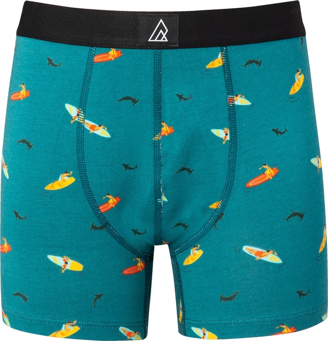 Ripzone Boys' Freestyle Boxer Brief 2 Pack SportChek