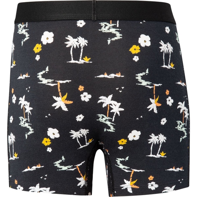 Ripzone Boys' Freestyle Boxer Brief 2 Pack SportChek