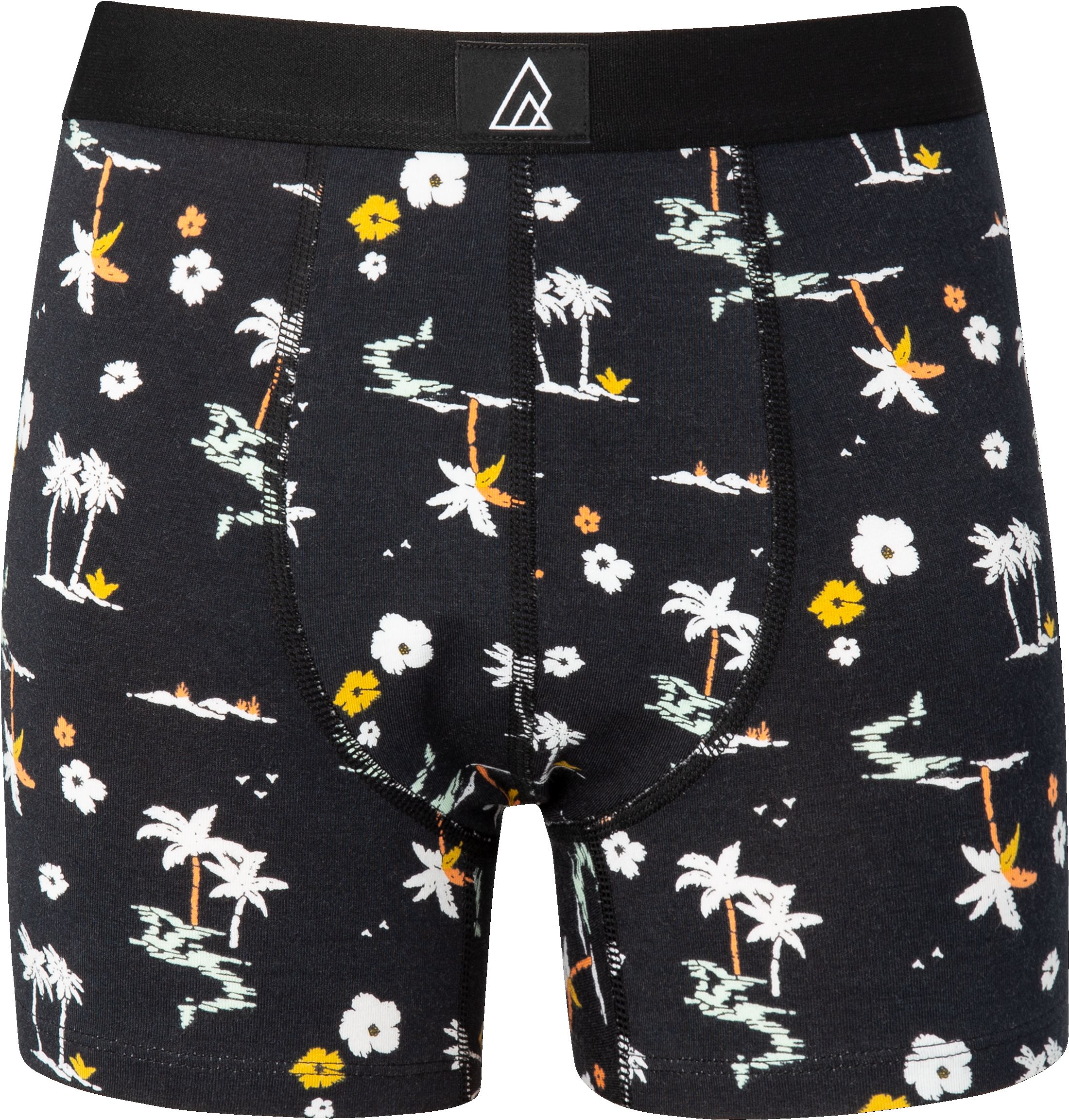 Ripzone Boys' Freestyle Boxer Brief 2pk