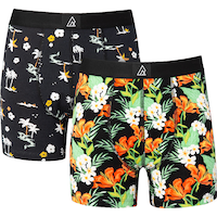 Ripzone Boys' Freestyle Boxer Brief 2pk Front_Flat