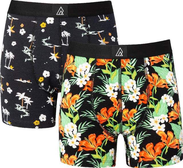 Ripzone Boys' Freestyle Boxer Brief 2pk