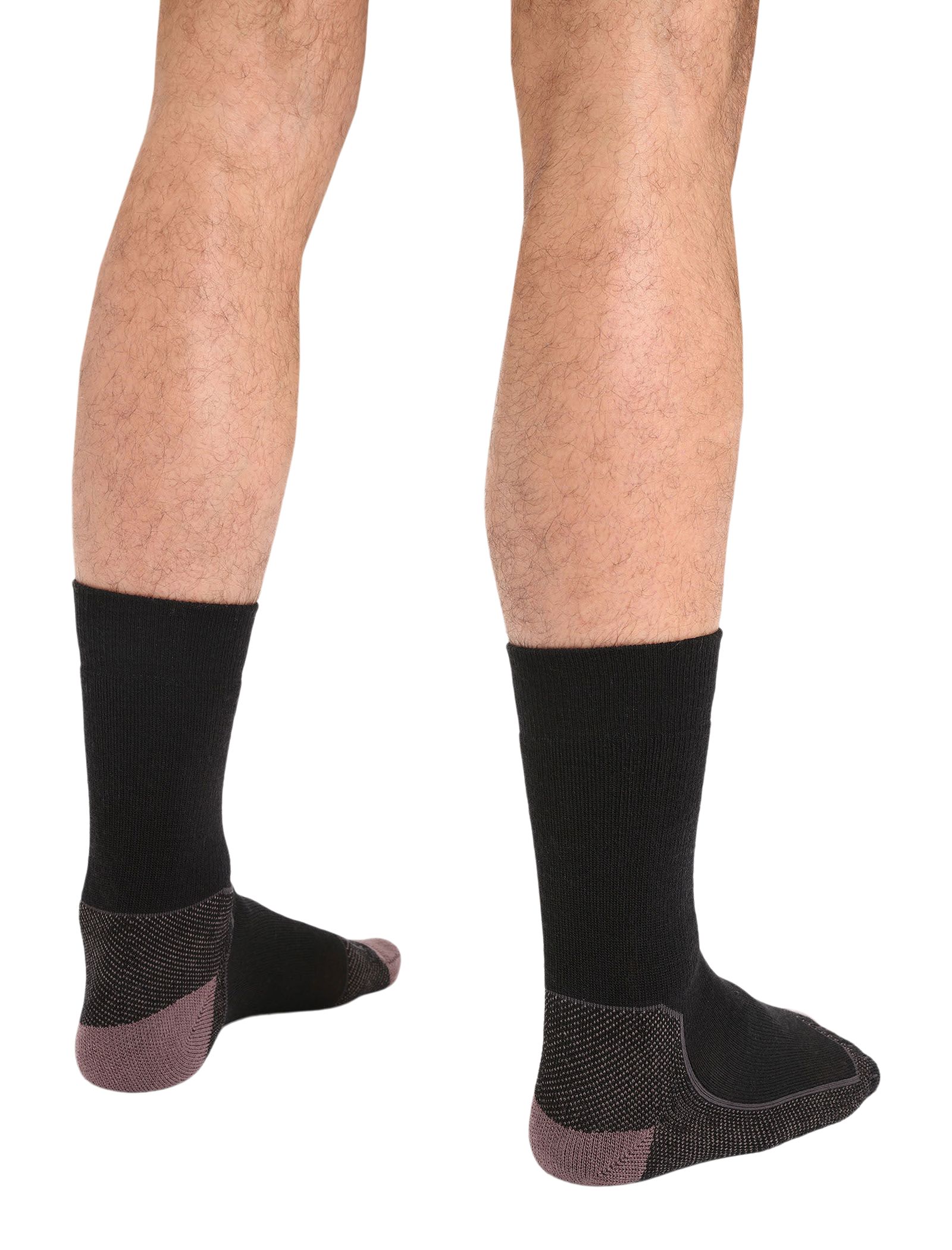 Icebreaker Men's Hike+ Medium Crew Socks