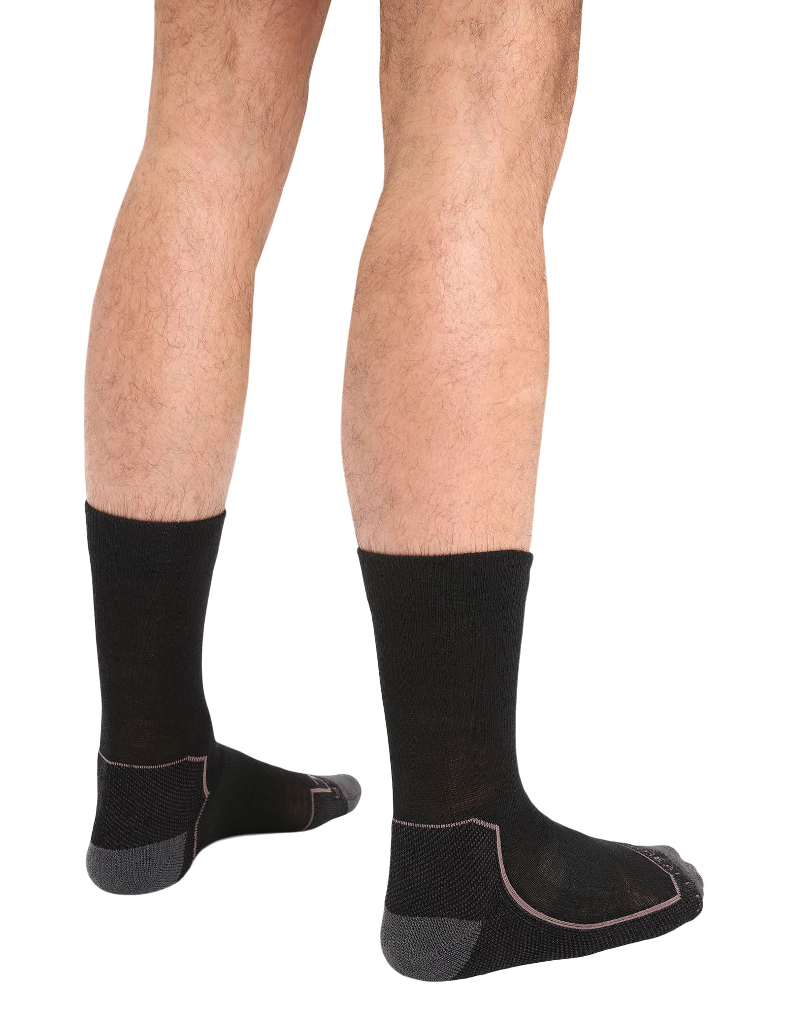 Icebreaker Men's Hike+ Light Crew Socks
