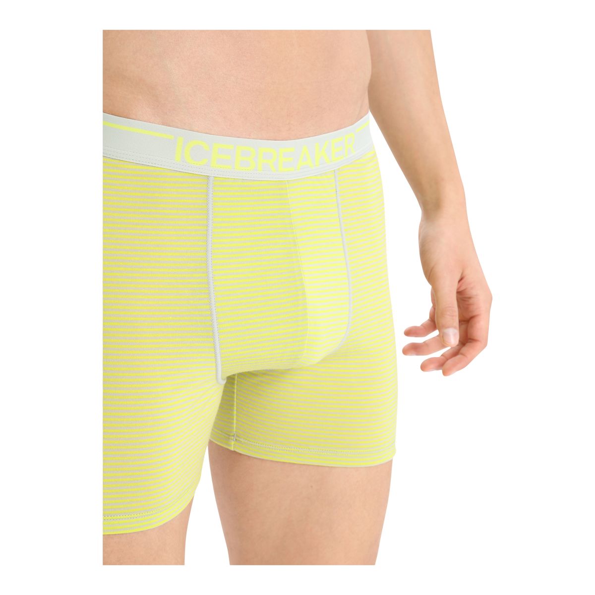 Icebreaker Men's Anatomica Boxers