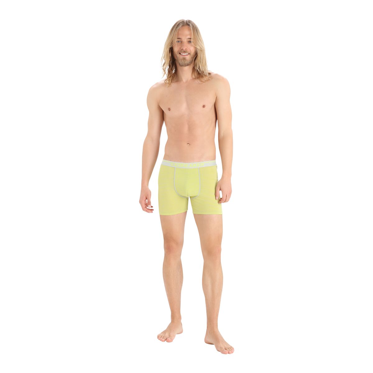 Icebreaker Men's Anatomica Boxers