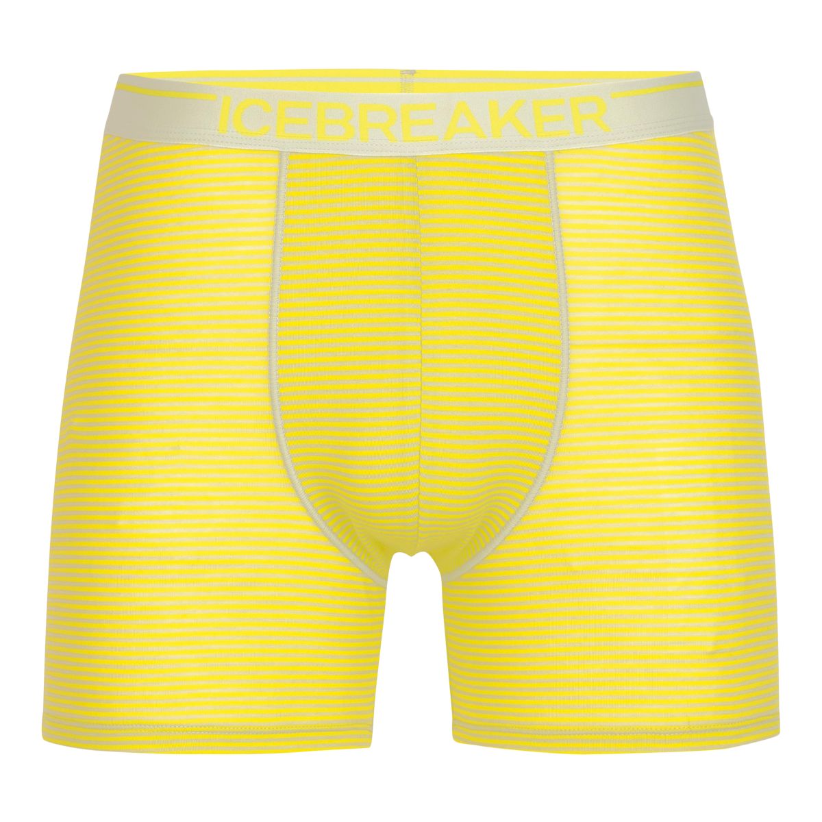 Icebreaker Men's Anatomica Boxers