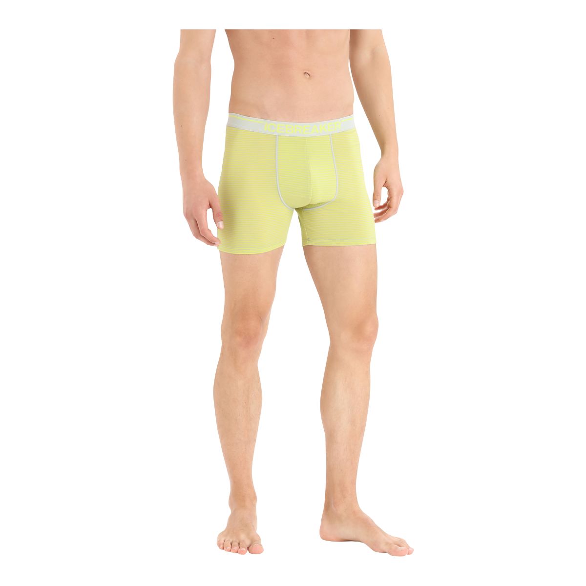 Icebreaker Men's Anatomica Boxers
