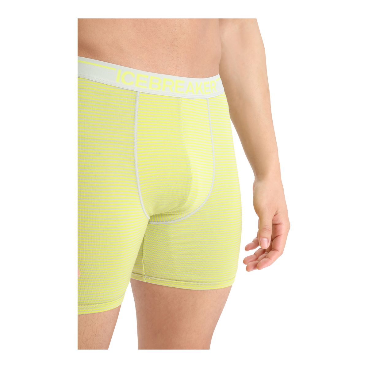 Icebreaker Men's Anatomica Long Boxers