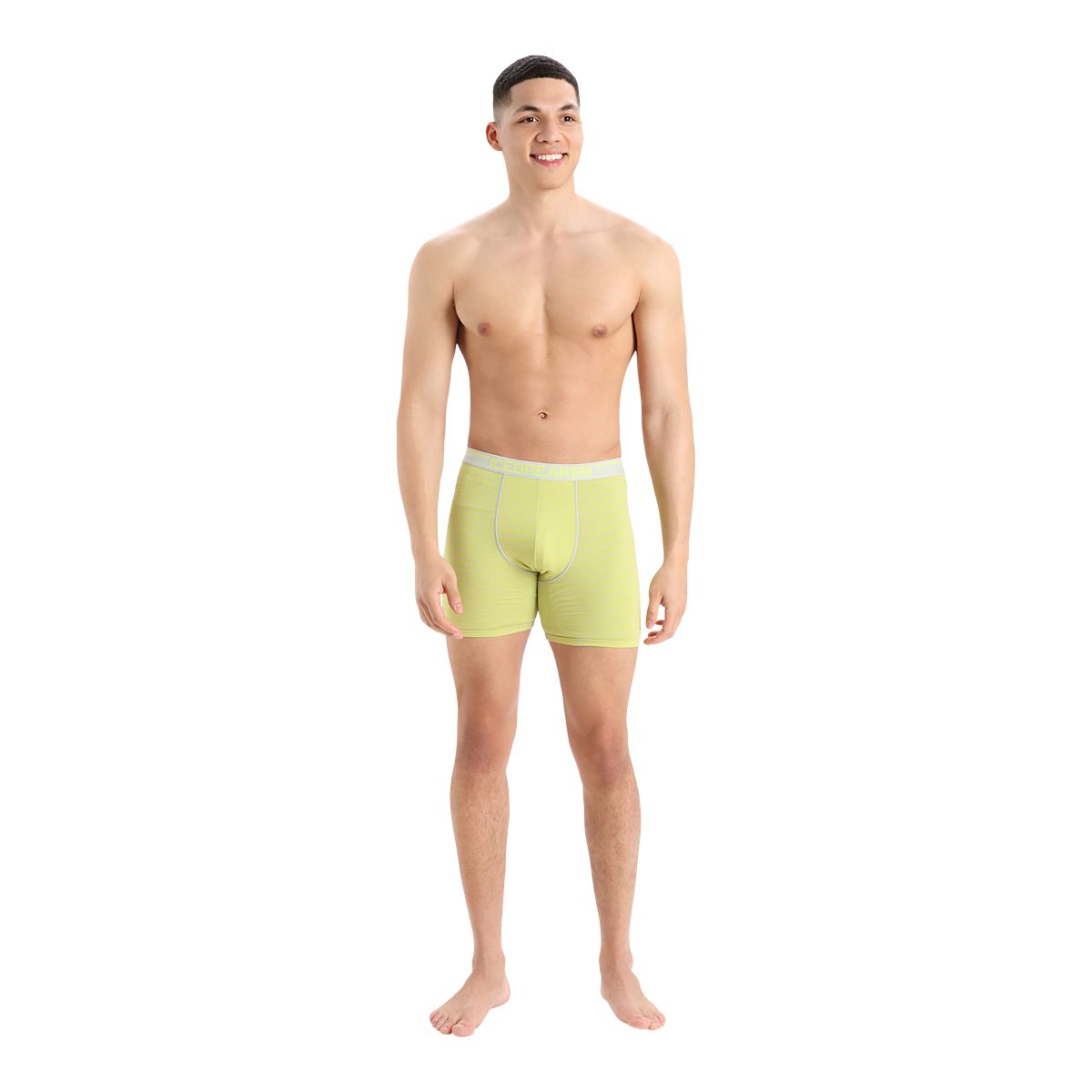 Icebreaker Men's Anatomica Long Boxers