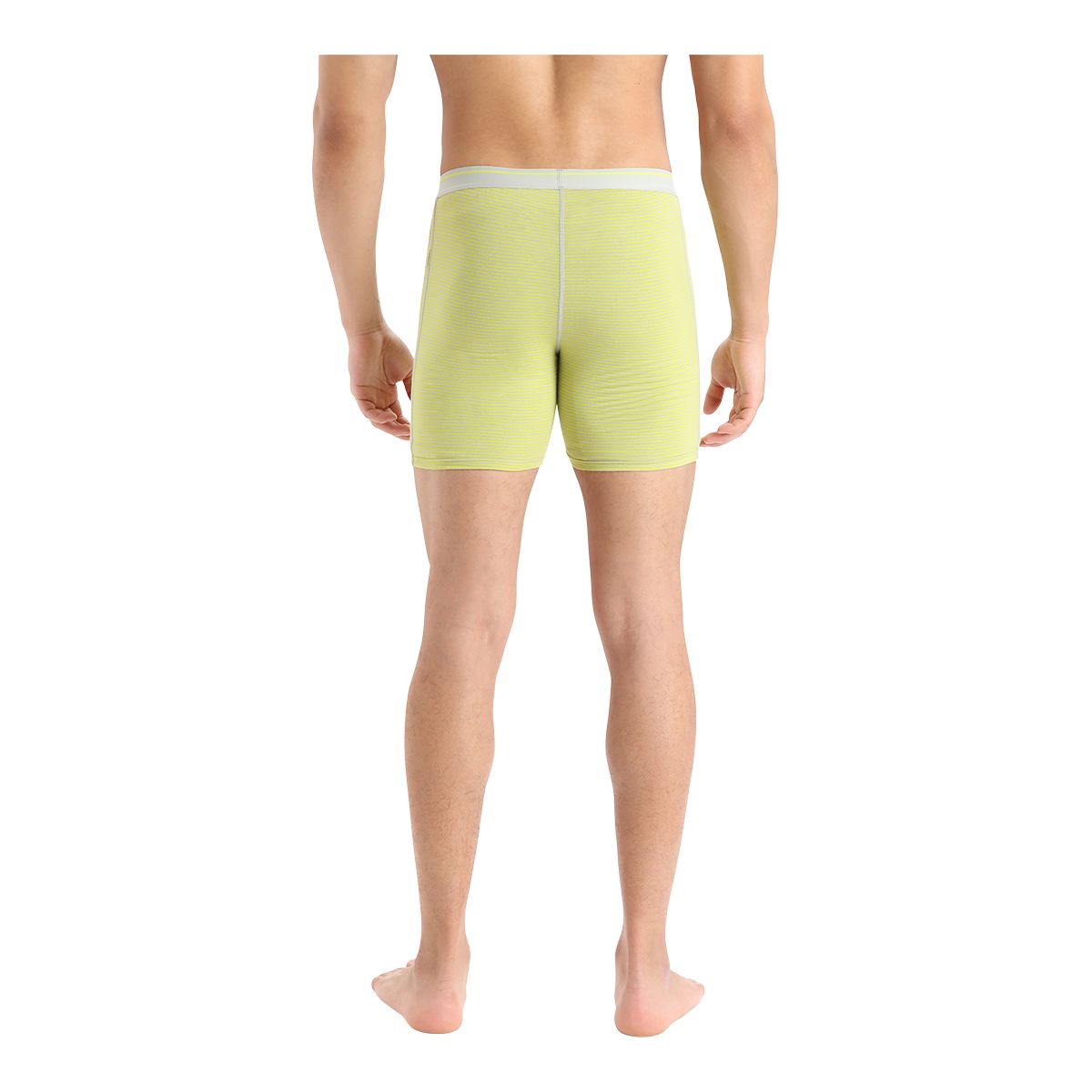 Icebreaker Men's Anatomica Long Boxers