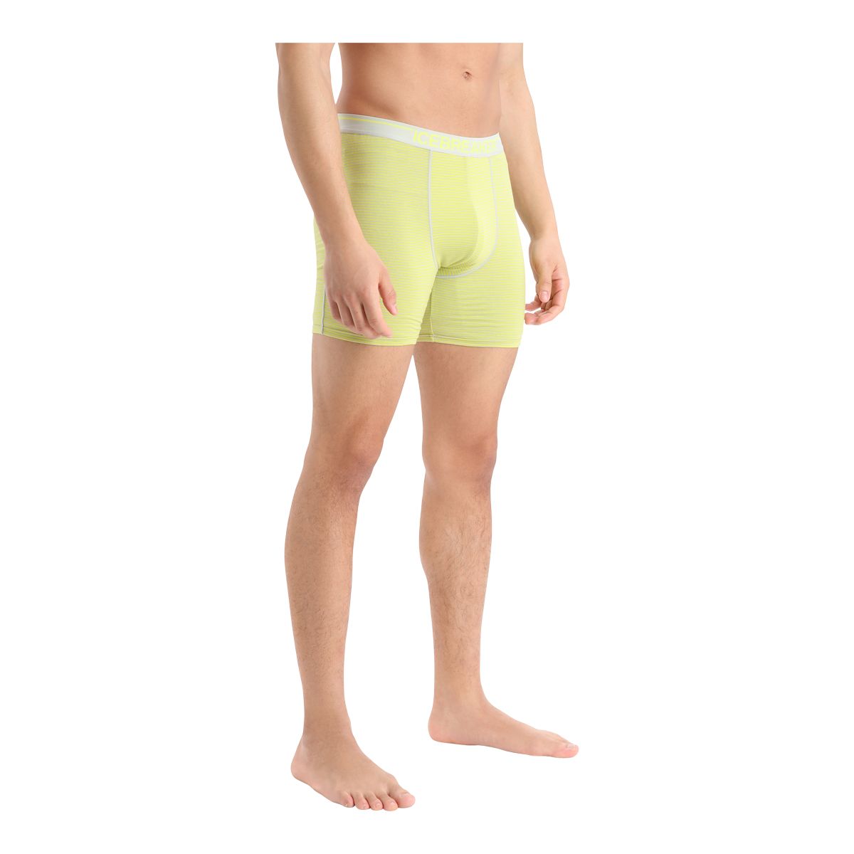 Icebreaker Men's Anatomica Long Boxers
