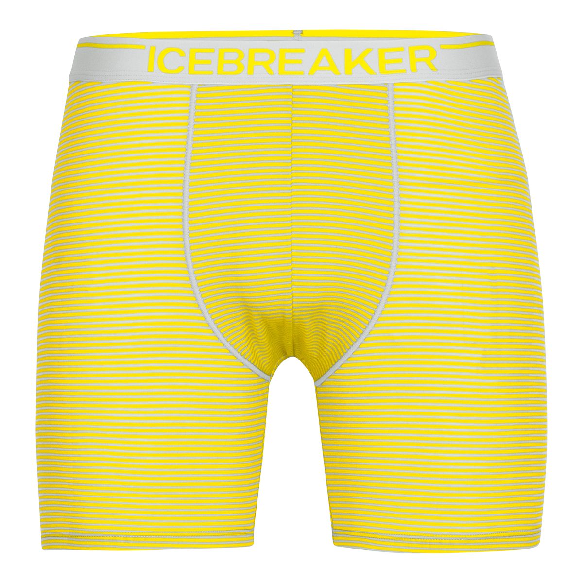 Icebreaker Men's Anatomica Long Boxers