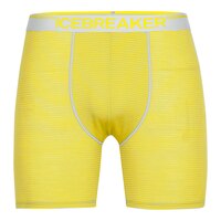 Icebreaker Men's Anatomica Long Boxers Front_Flat