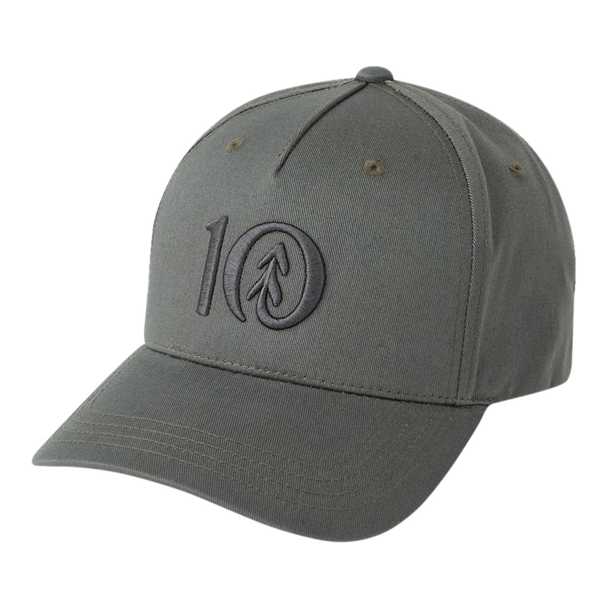 tentree Altitude Cork Brim Snapback