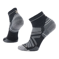 Smartwool Men's Performance Hike Targeted Cushioned Ankle Socks Composite_or_Mixed