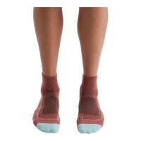 Icebreaker Women's Hike+ Light Cushion Mini Socks Front_Elevated