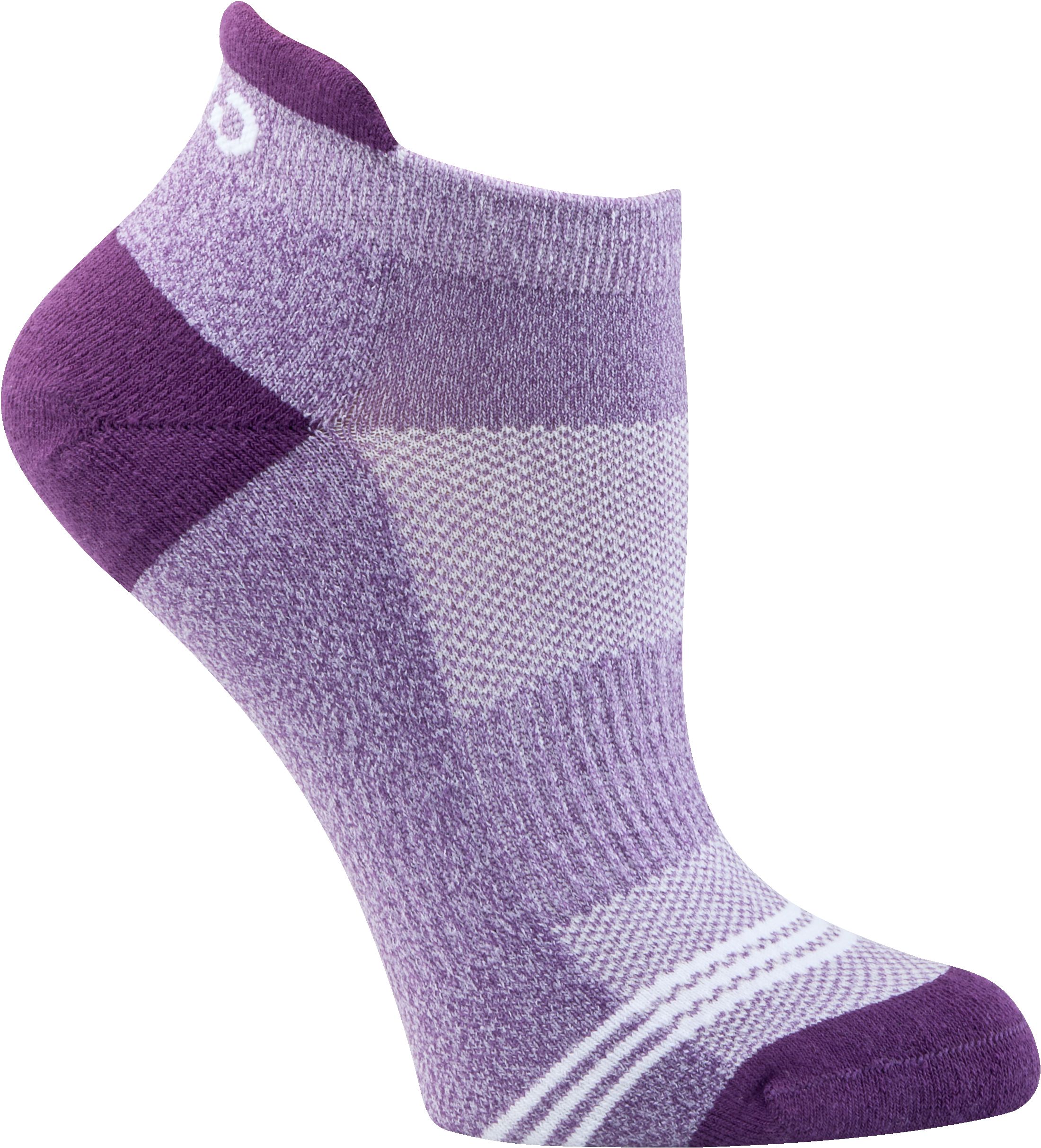 FWD Women's Rise No Show Socks - 6 Pack