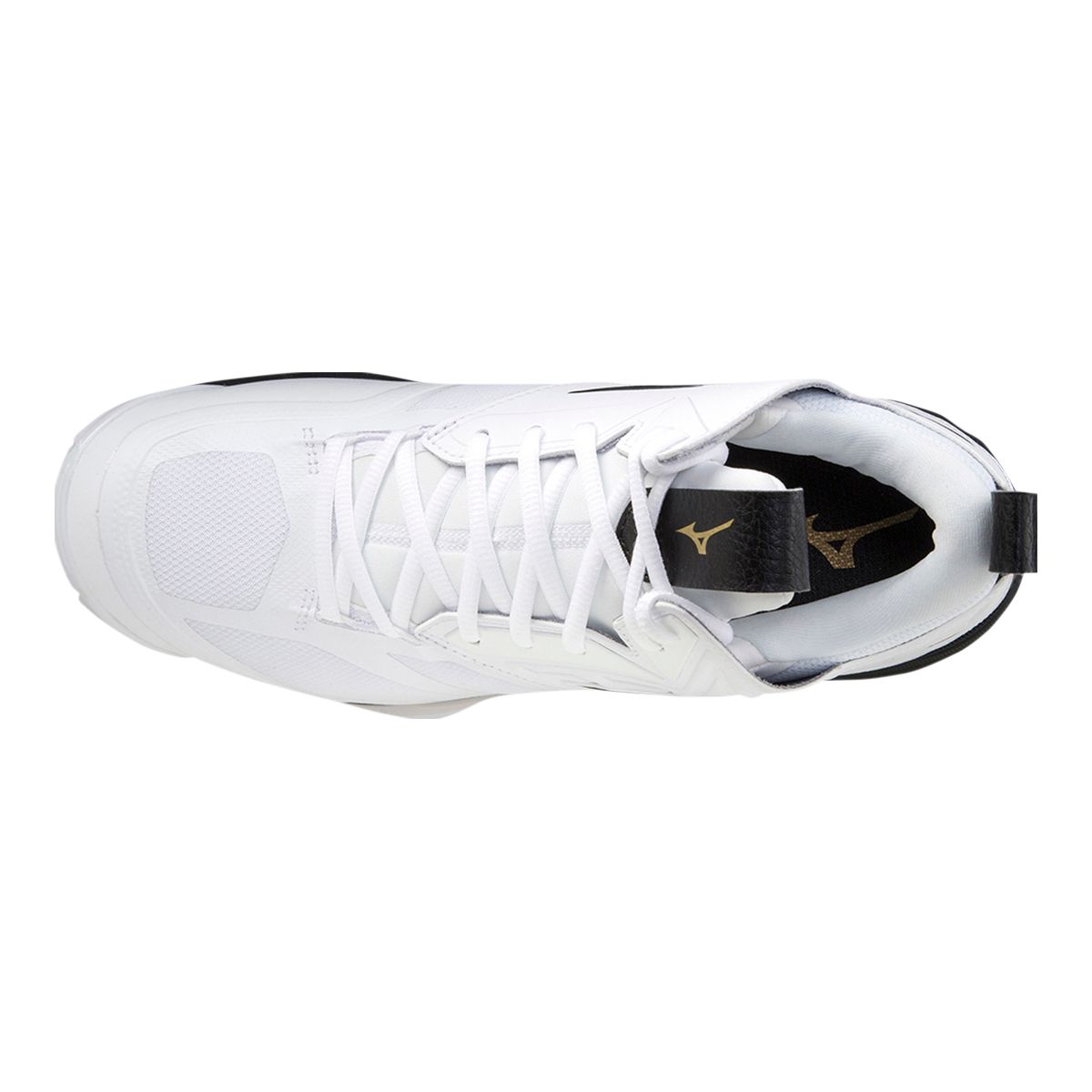 Mizuno Men's Wave Momentum 2 Indoor Court Volleyball Shoes, Mid Top, Tennis, Badminton