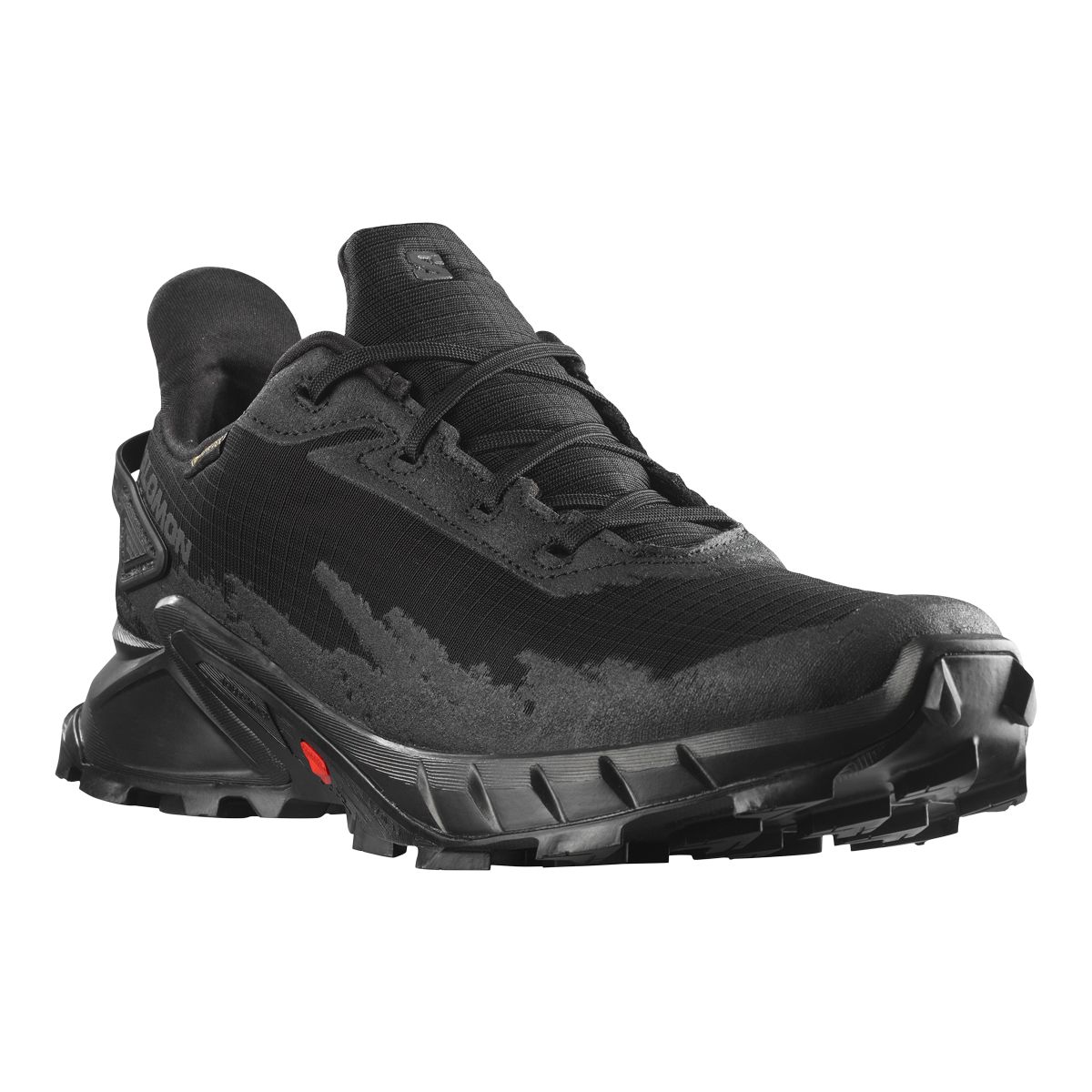 Salomon shoes sport sales chek