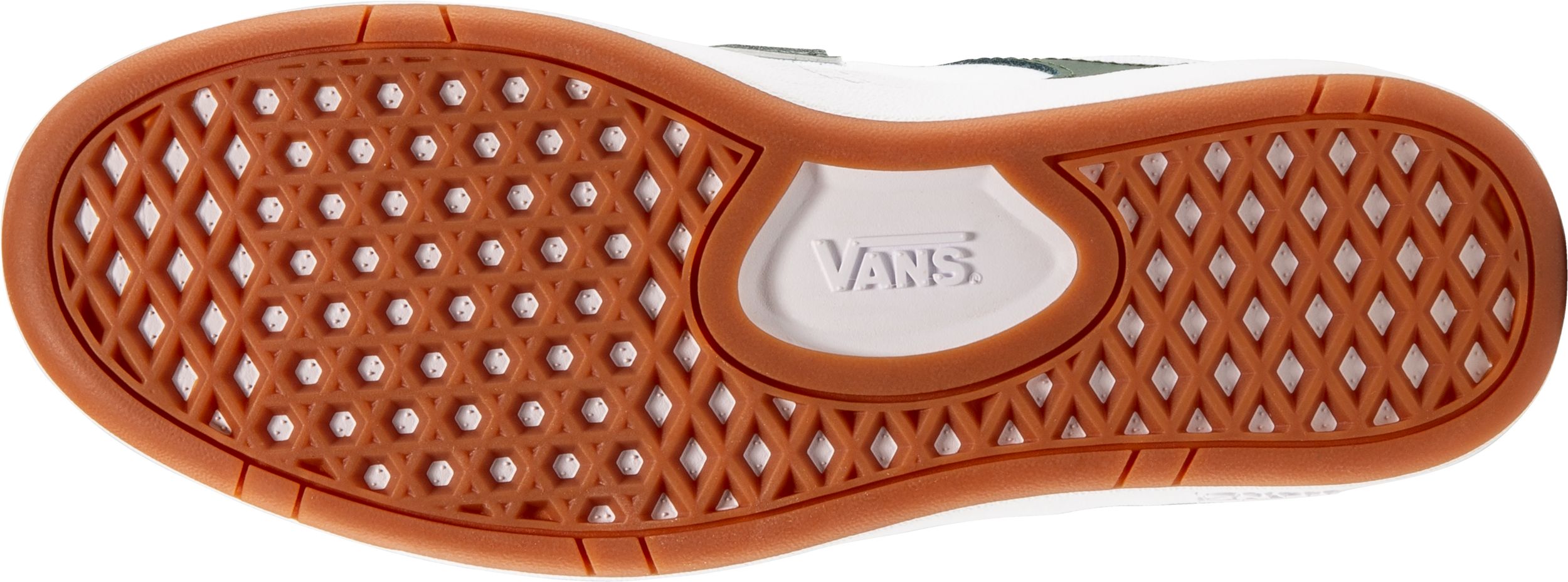 Vans Men's Lowland CC Skate Shoes