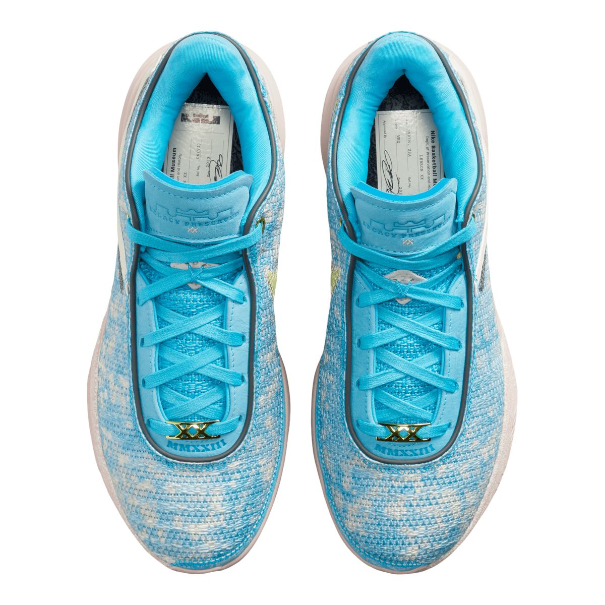 Nike Men's/Women's LeBron XX ASW Preservation Basketball Shoes 