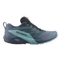 Salomon Men's Sense Ride 5 GORE-TEX Trail Running Shoes Side_Right