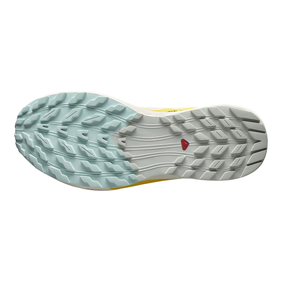 Salomon Men's Sense Ride 5 Trail Running Shoes