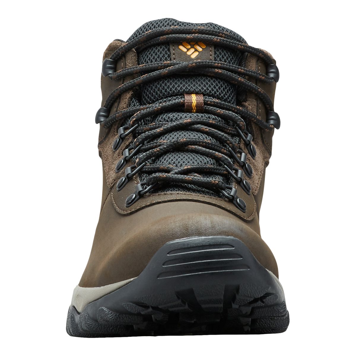Columbia Men's Newton Ridge Plus II Hiking Boots