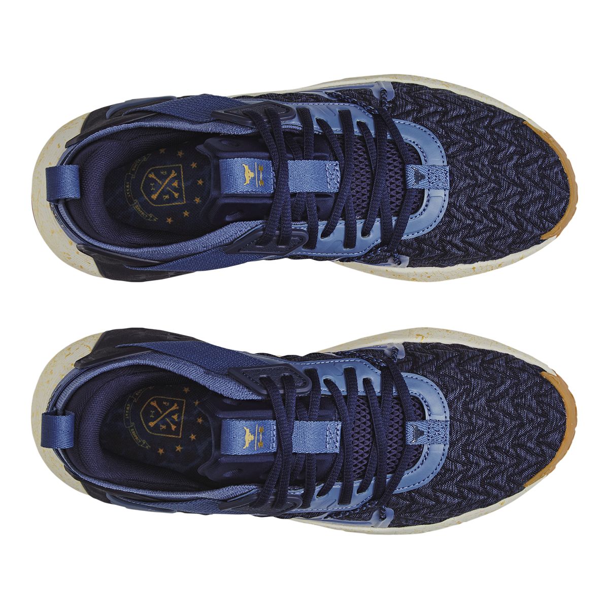 Under Armour Men's Project Rock 6 Training Shoes