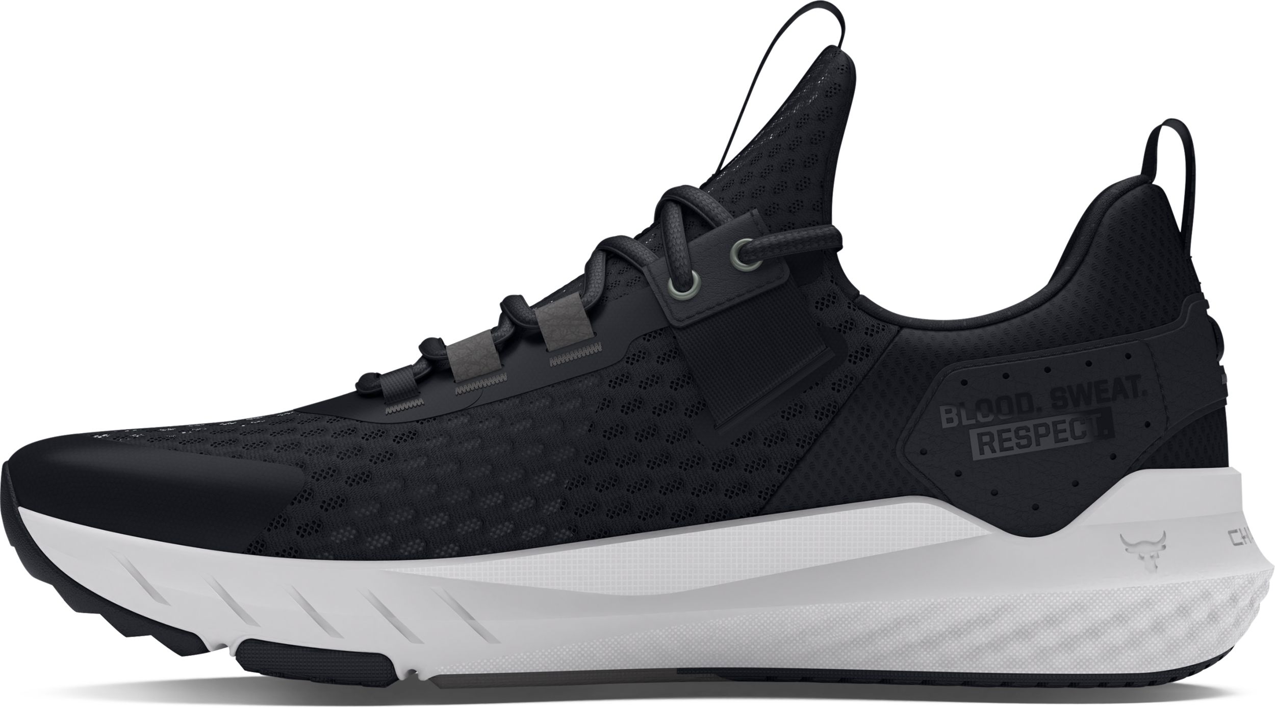 Under Armour Men's Project Rock BSR 4 Training Shoes | SportChek