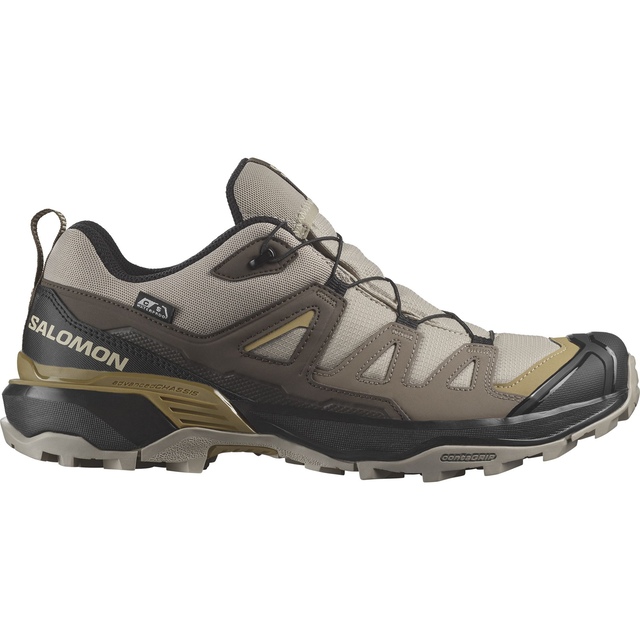 Salomon Men's X Ultra 360 CSWP Hiking Shoes