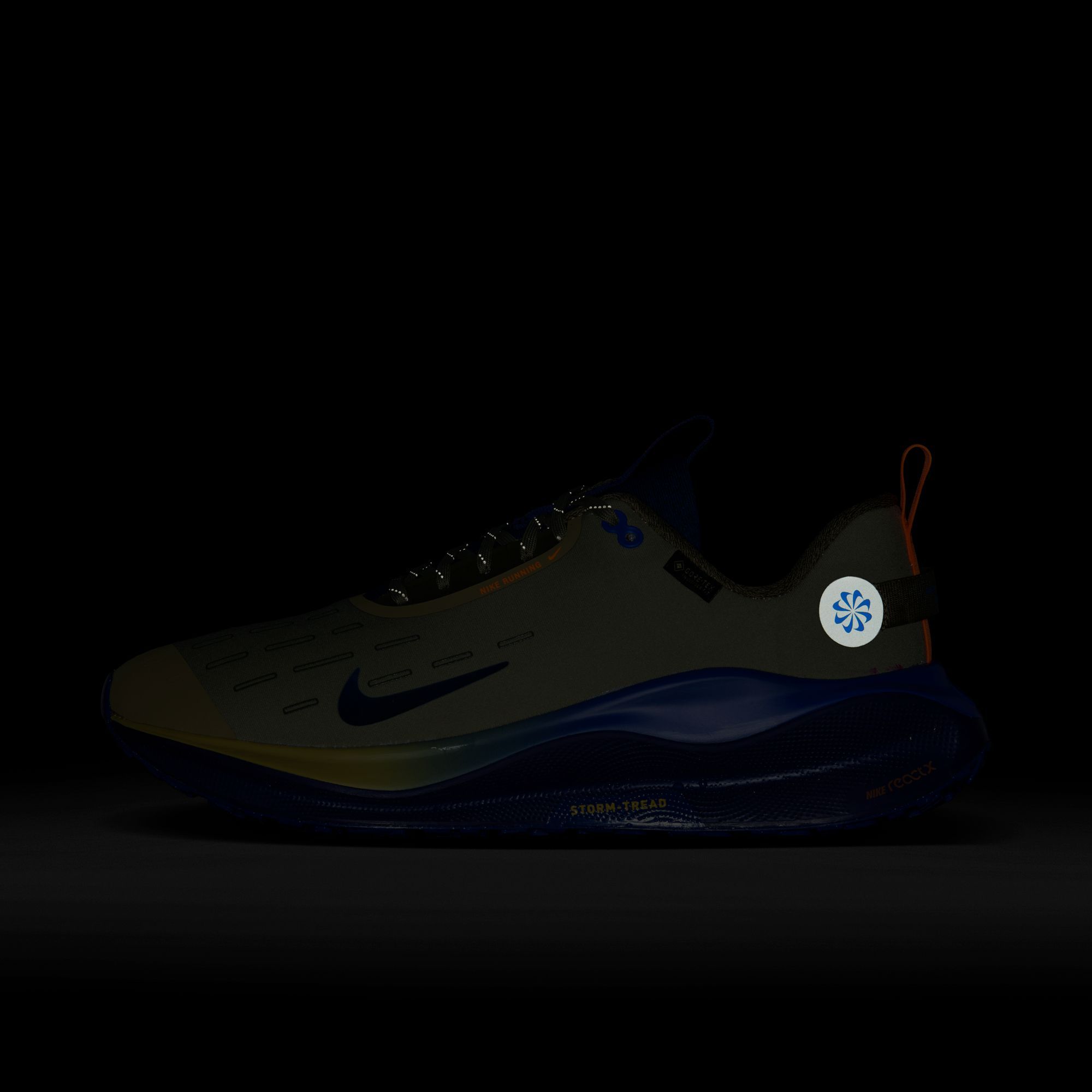 Nike Men's InfinityRN 4 GORE-TEX V2 Running Shoes