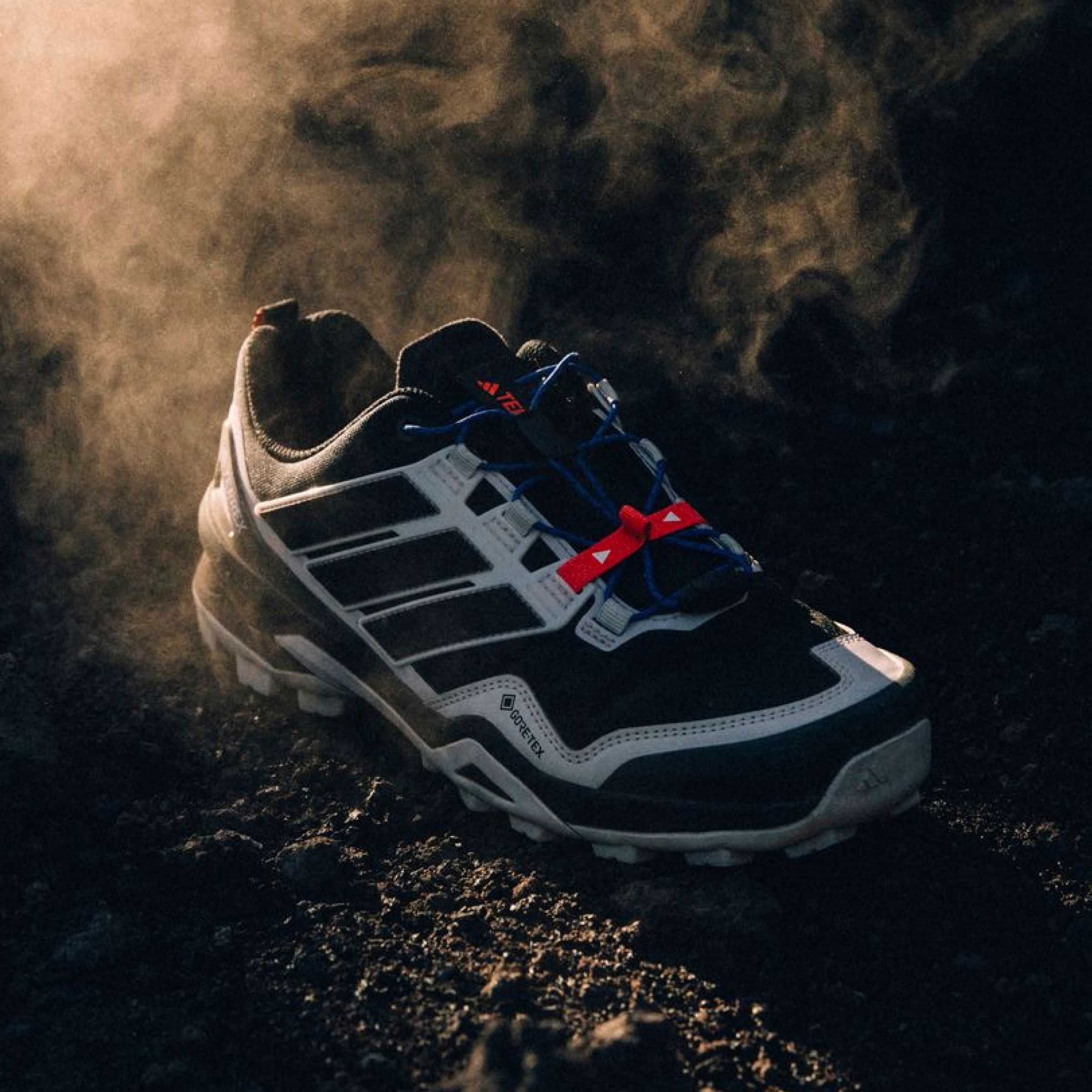 adidas Men's Terrex Skychaser Gore-Tex Hiking Shoes | SportChek