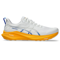 ASICS Men's GT 2000 13 Running Shoes
