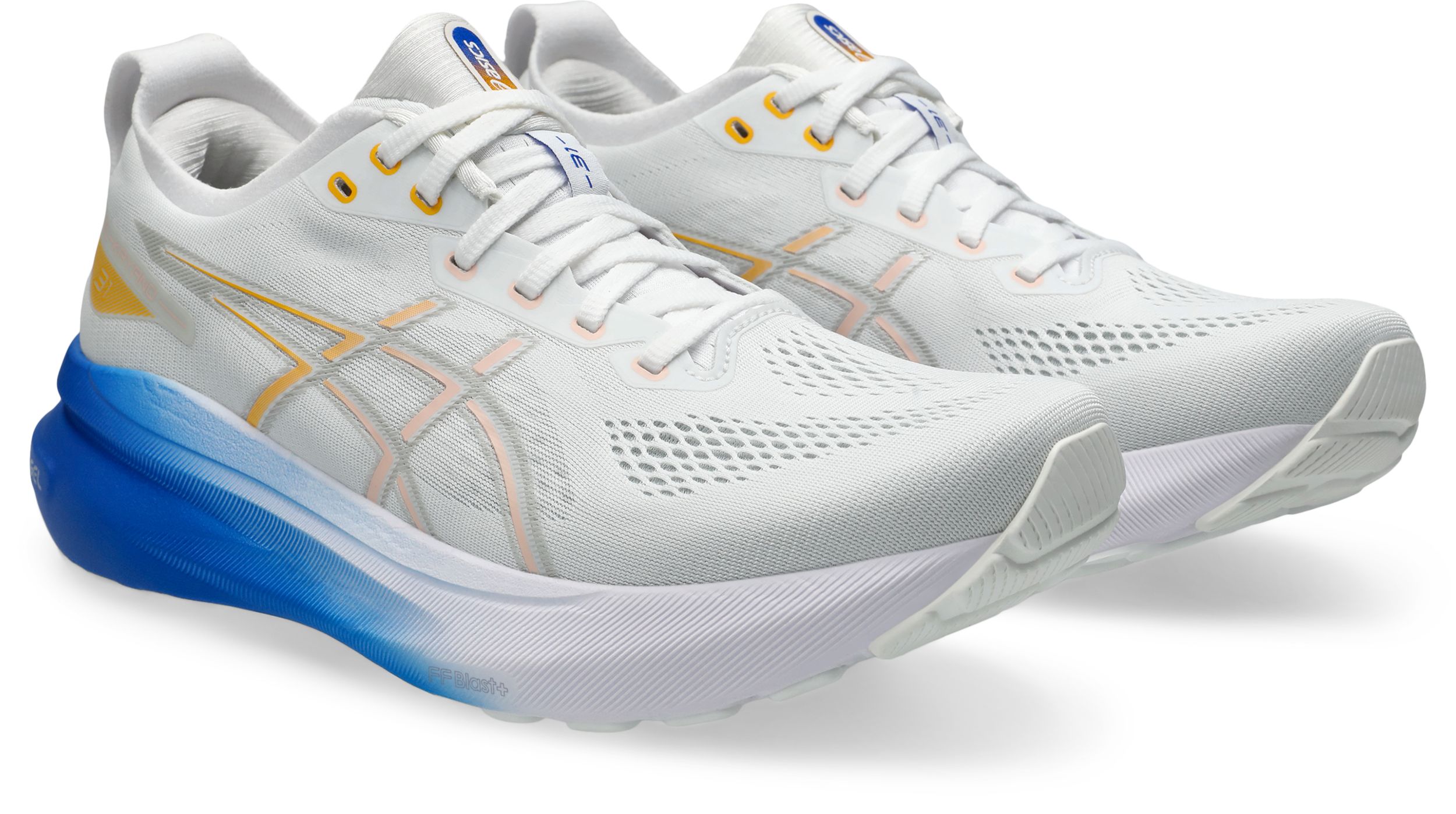 ASICS Men's GEL-KAYANO™ 31 Running Shoes