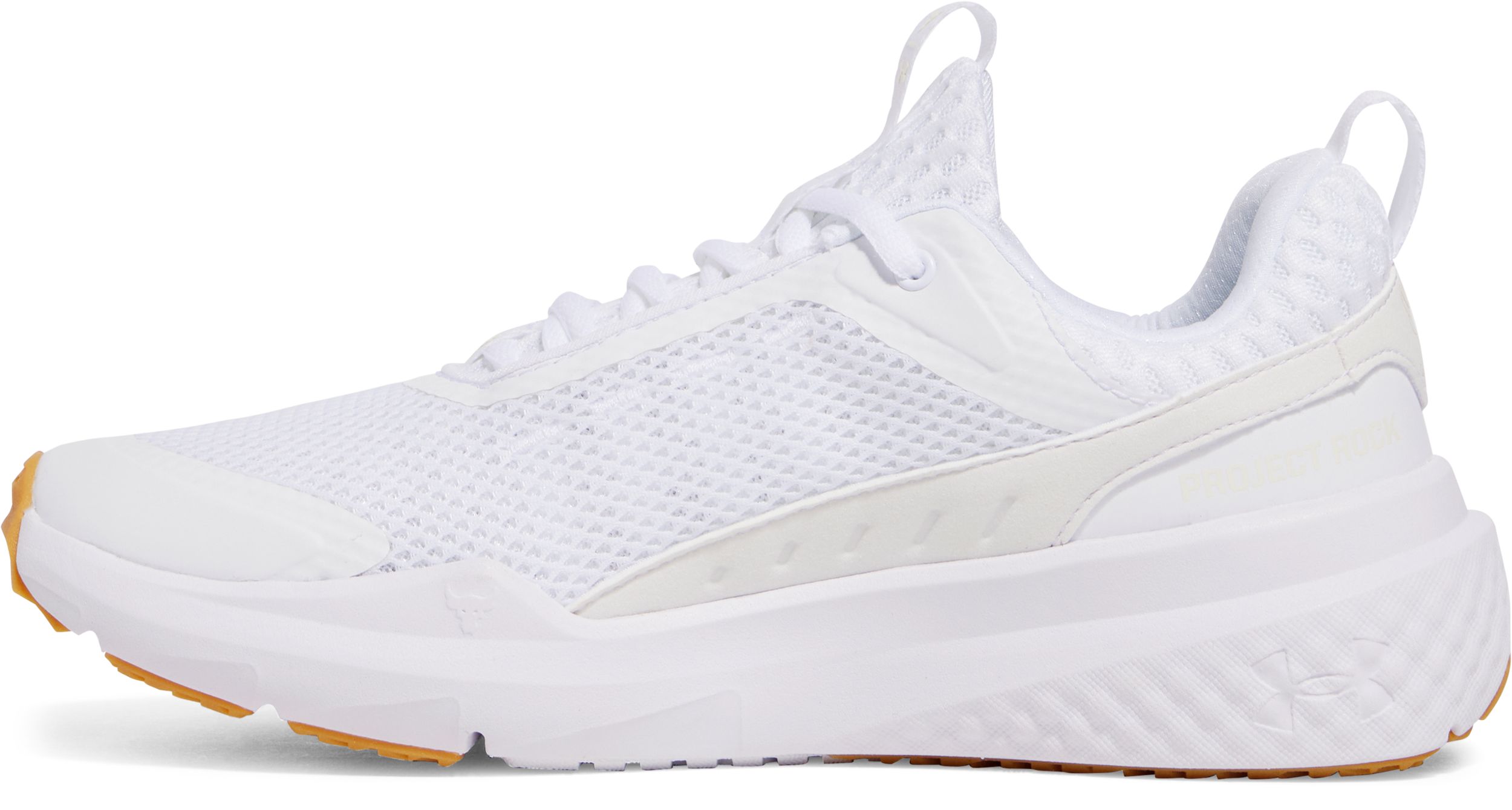 Under Armour Project Rock Bsr 5 Training Shoes