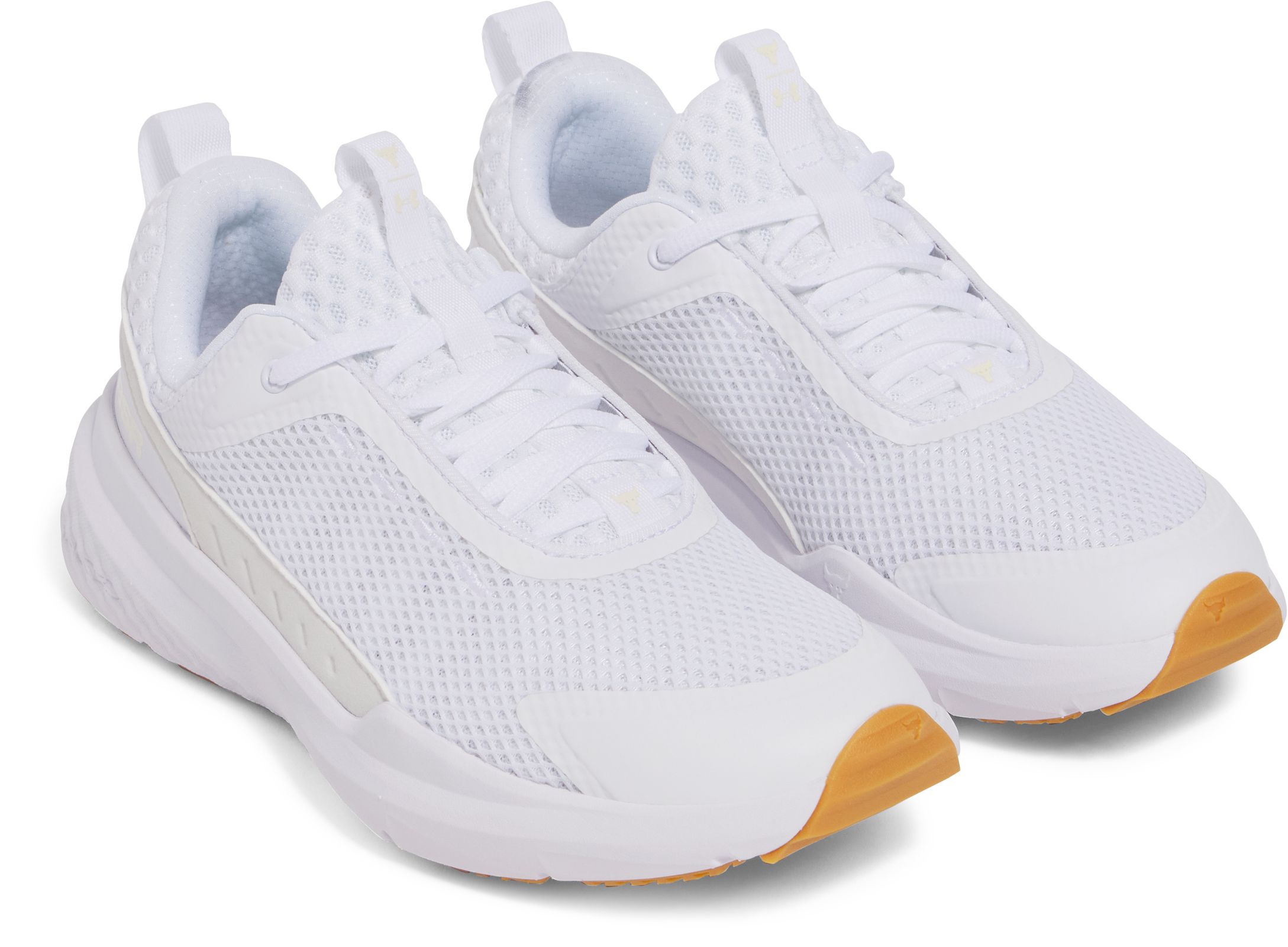 Under Armour Project Rock Bsr 5 Training Shoes