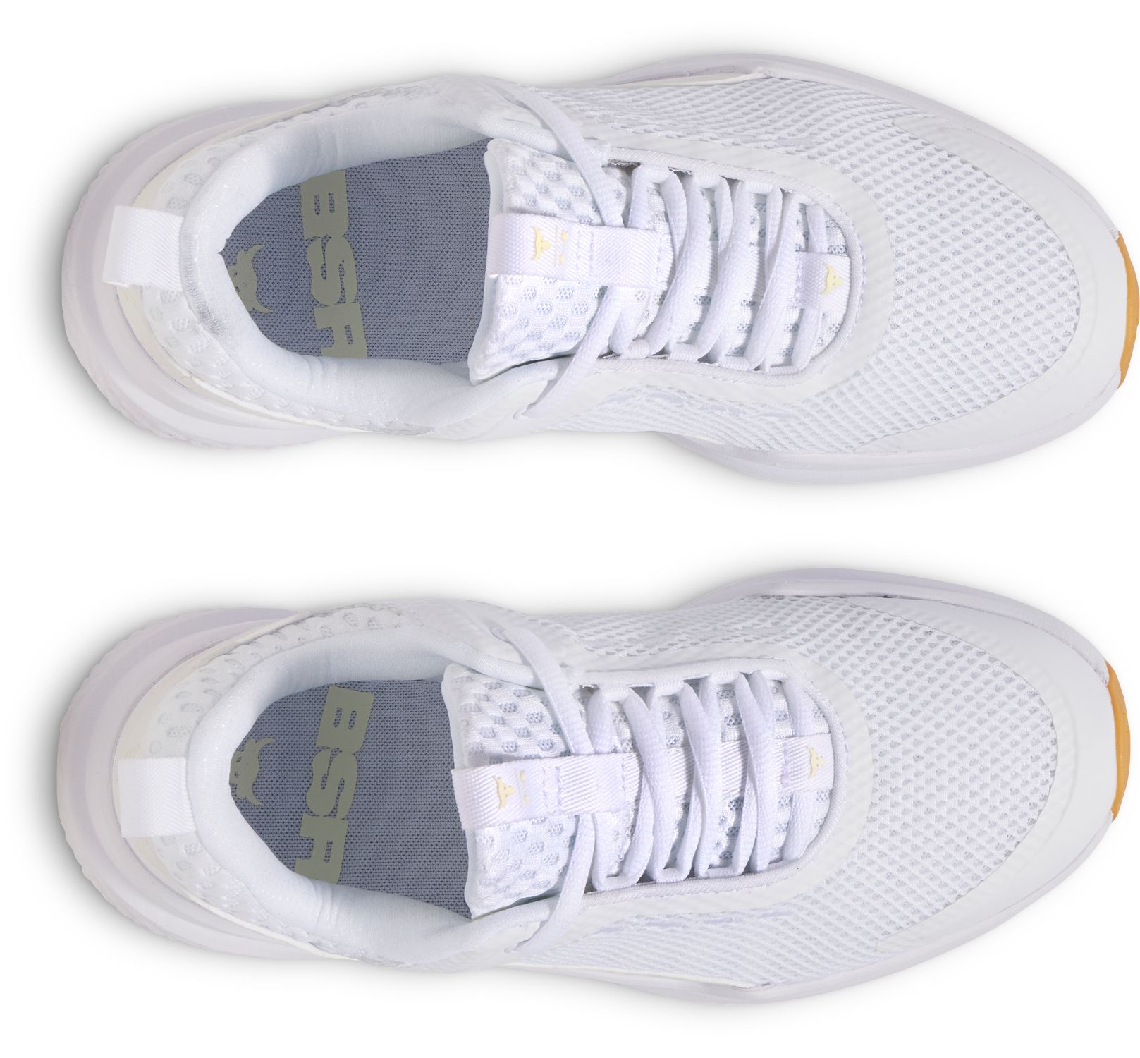 Under Armour Project Rock Bsr 5 Training Shoes