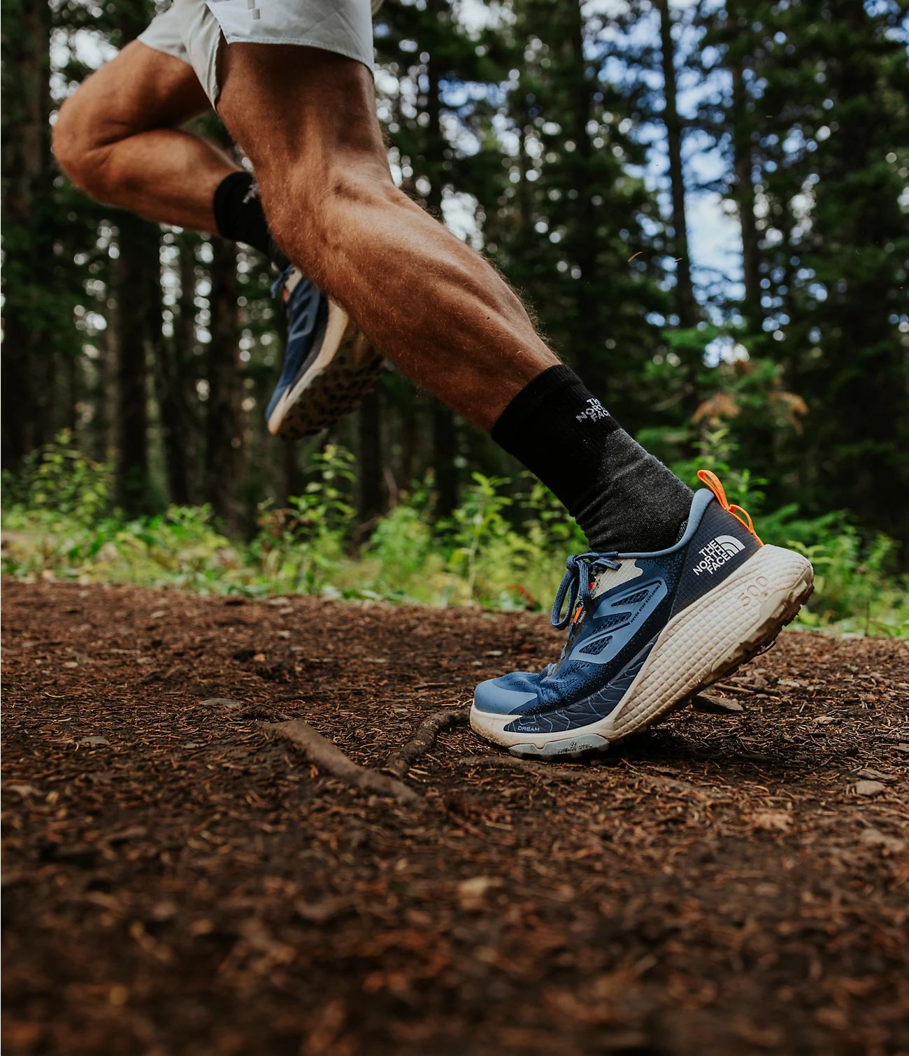 The North Face Men’s Altamesa 500 Trail Running Shoes