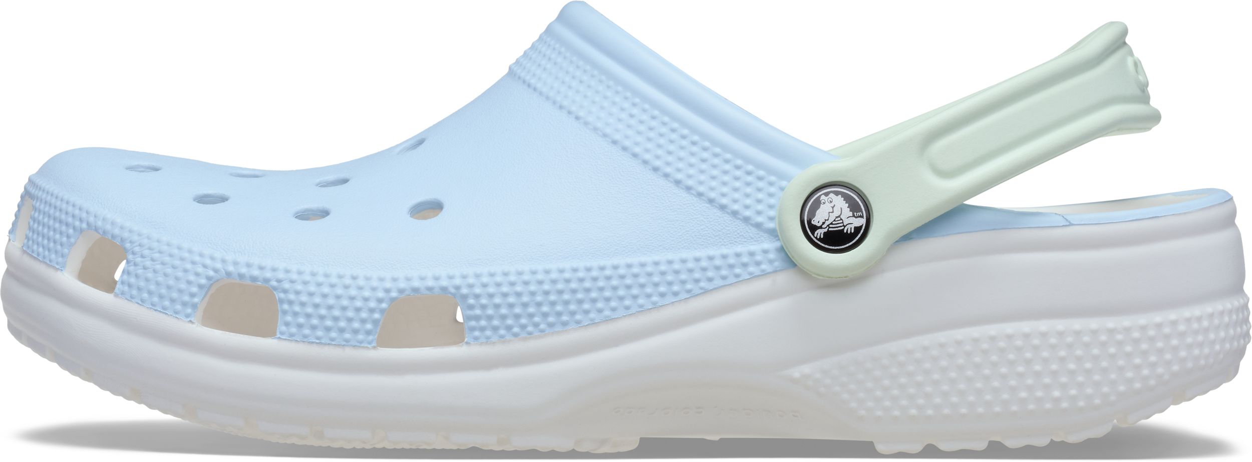 Crocs Unisex Classic Retro Sport Clogs